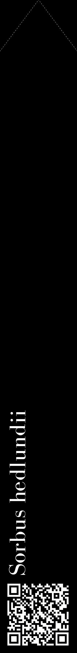 Étiquette de : Sorbus hedlundii - format c - style blanche59_simplebod avec qrcode et comestibilité