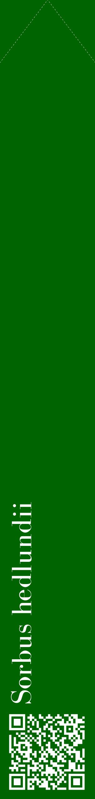 Étiquette de : Sorbus hedlundii - format c - style blanche8_simplebod avec qrcode et comestibilité