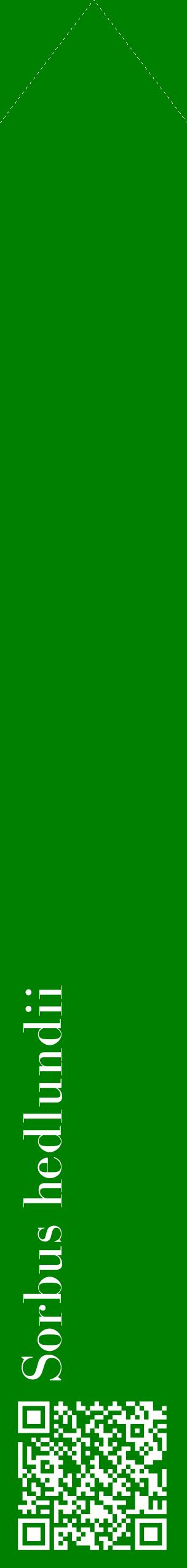 Étiquette de : Sorbus hedlundii - format c - style blanche9_simplebod avec qrcode et comestibilité