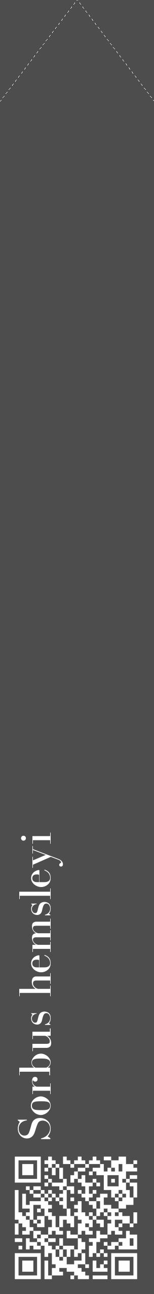 Étiquette de : Sorbus hemsleyi - format c - style blanche28_simple_simplebod avec qrcode et comestibilité - position verticale