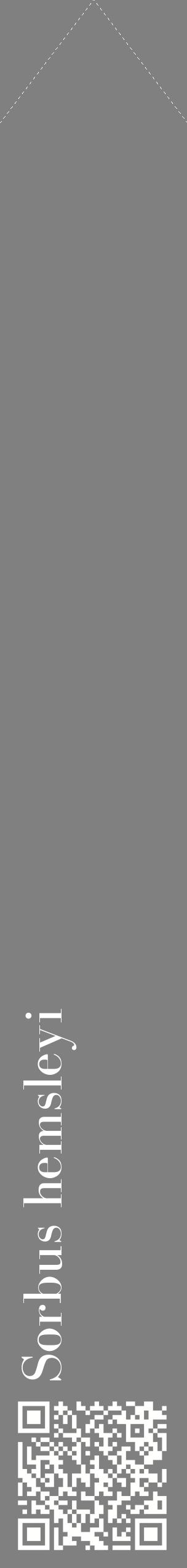 Étiquette de : Sorbus hemsleyi - format c - style blanche57_simplebod avec qrcode et comestibilité