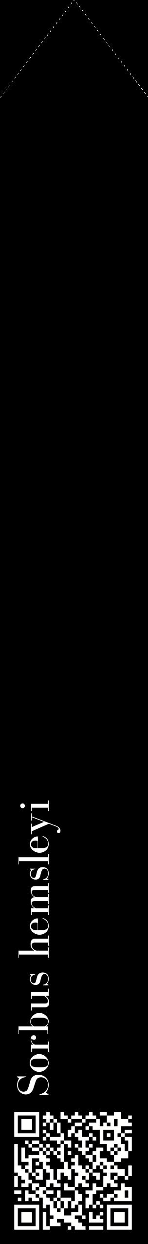 Étiquette de : Sorbus hemsleyi - format c - style blanche59_simplebod avec qrcode et comestibilité