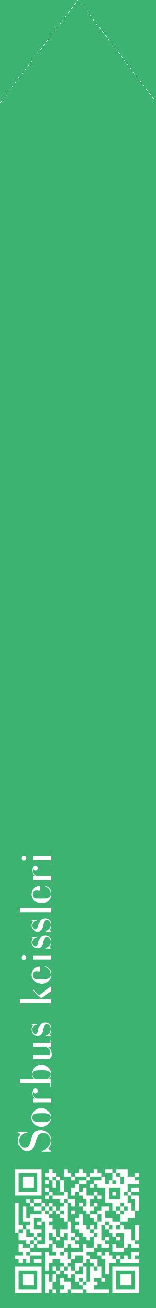 Étiquette de : Sorbus keissleri - format c - style blanche12_simplebod avec qrcode et comestibilité