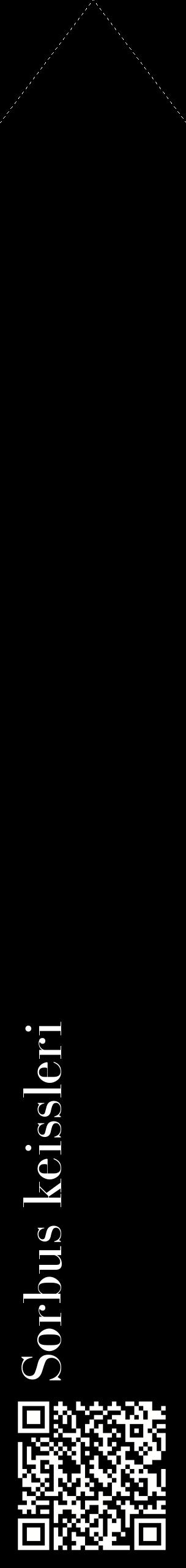Étiquette de : Sorbus keissleri - format c - style blanche59_simplebod avec qrcode et comestibilité