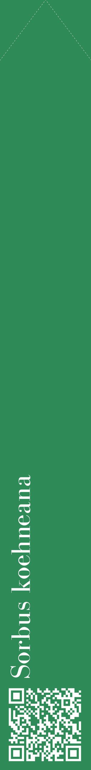 Étiquette de : Sorbus koehneana - format c - style blanche11_simplebod avec qrcode et comestibilité