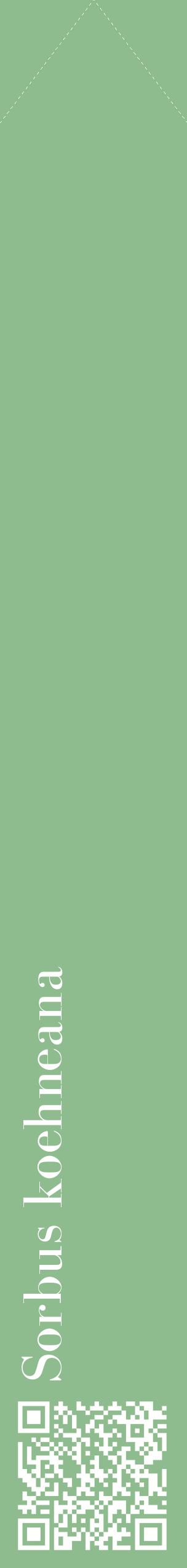 Étiquette de : Sorbus koehneana - format c - style blanche13_simplebod avec qrcode et comestibilité