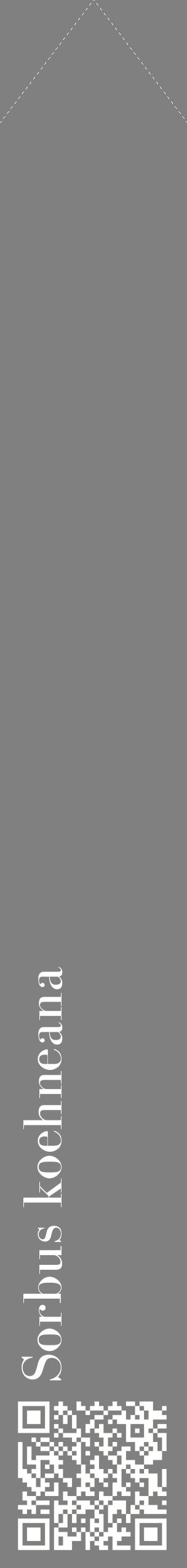 Étiquette de : Sorbus koehneana - format c - style blanche57_simplebod avec qrcode et comestibilité
