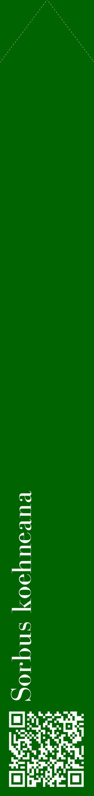Étiquette de : Sorbus koehneana - format c - style blanche8_simplebod avec qrcode et comestibilité