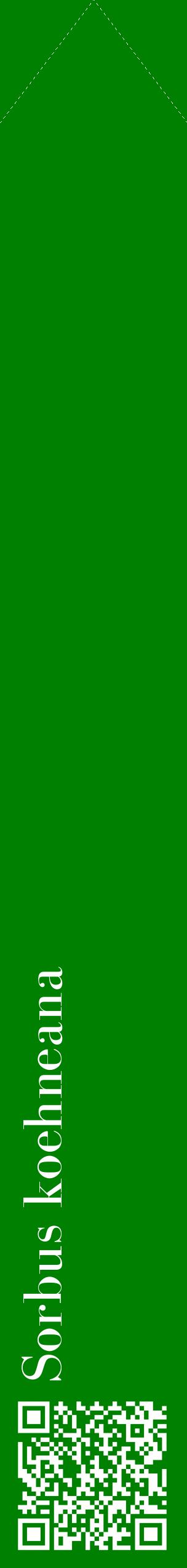 Étiquette de : Sorbus koehneana - format c - style blanche9_simplebod avec qrcode et comestibilité