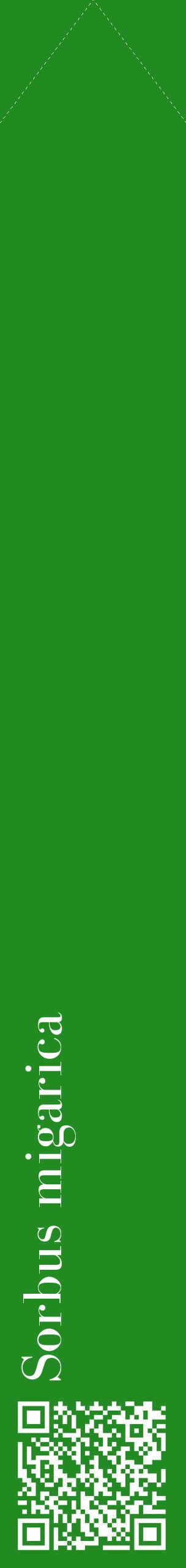 Étiquette de : Sorbus migarica - format c - style blanche10_simplebod avec qrcode et comestibilité