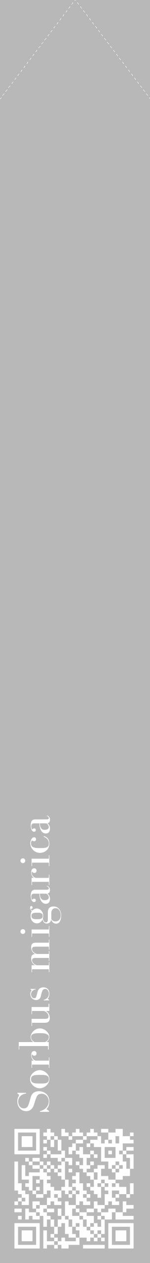 Étiquette de : Sorbus migarica - format c - style blanche39_simple_simplebod avec qrcode et comestibilité - position verticale