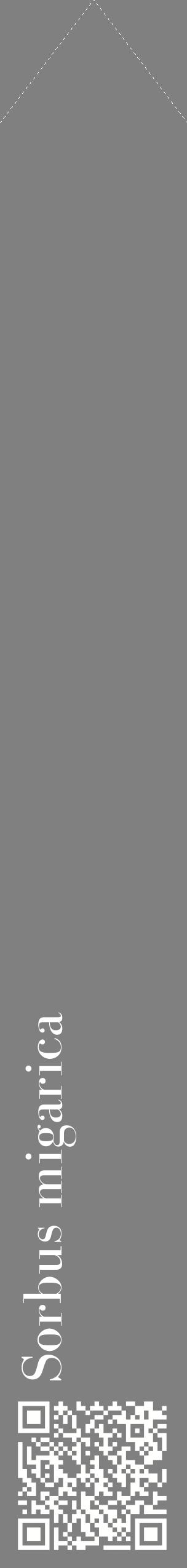 Étiquette de : Sorbus migarica - format c - style blanche57_simplebod avec qrcode et comestibilité
