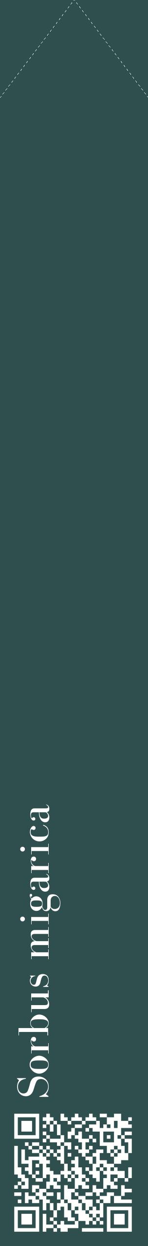 Étiquette de : Sorbus migarica - format c - style blanche58_simplebod avec qrcode et comestibilité
