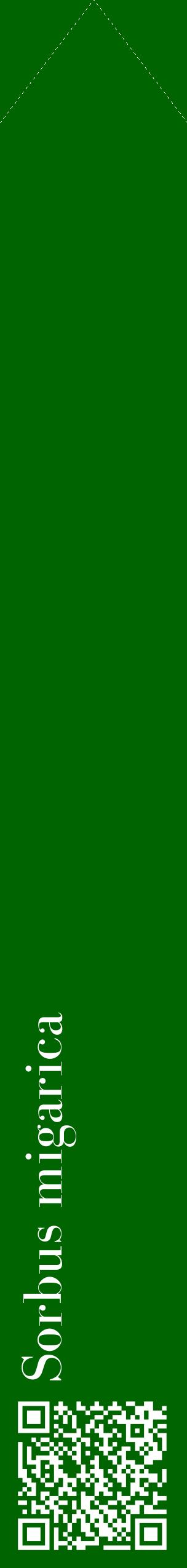 Étiquette de : Sorbus migarica - format c - style blanche8_simplebod avec qrcode et comestibilité