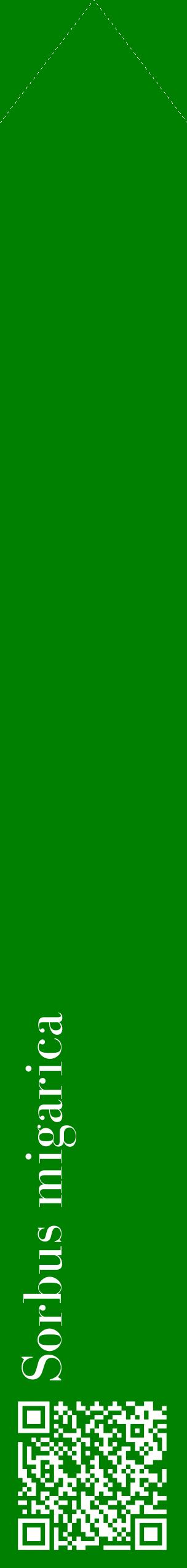 Étiquette de : Sorbus migarica - format c - style blanche9_simplebod avec qrcode et comestibilité