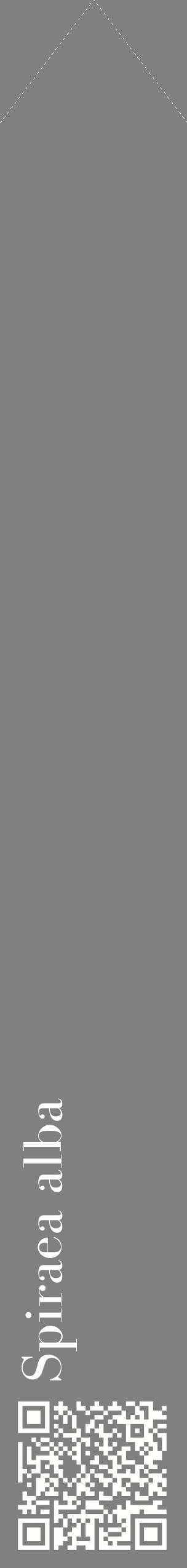 Étiquette de : Spiraea alba - format c - style blanche57_simplebod avec qrcode et comestibilité