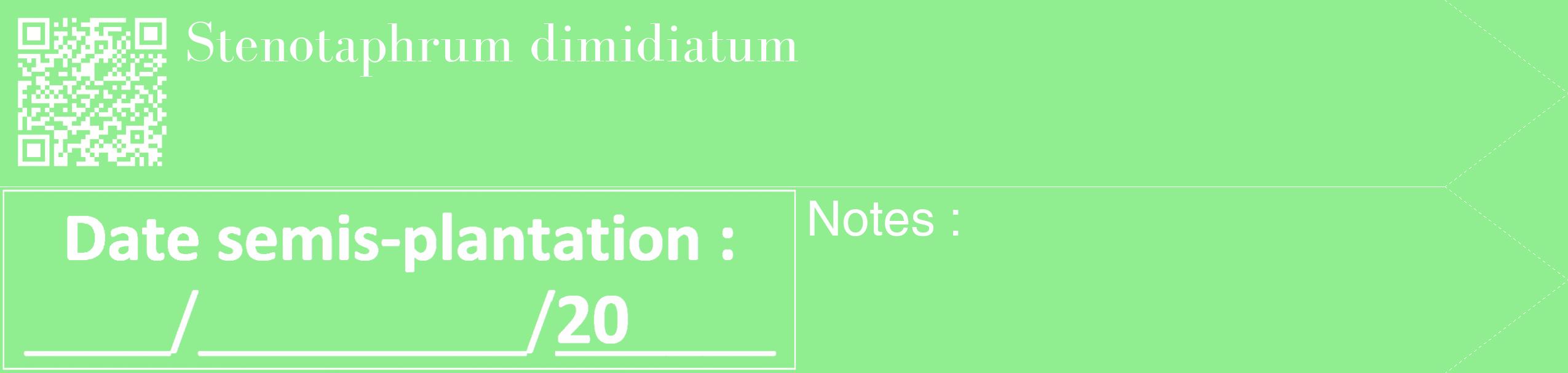 Étiquette de : Stenotaphrum dimidiatum - format c - style blanche15_simple_simplebod avec qrcode et comestibilité