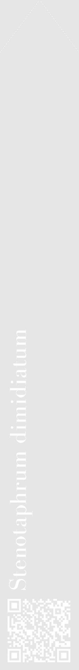 Étiquette de : Stenotaphrum dimidiatum - format c - style blanche18_simple_simplebod avec qrcode et comestibilité - position verticale