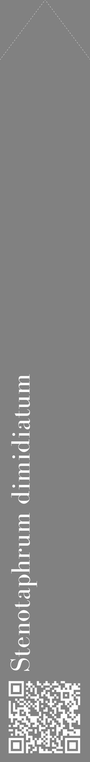 Étiquette de : Stenotaphrum dimidiatum - format c - style blanche50_simple_simplebod avec qrcode et comestibilité - position verticale