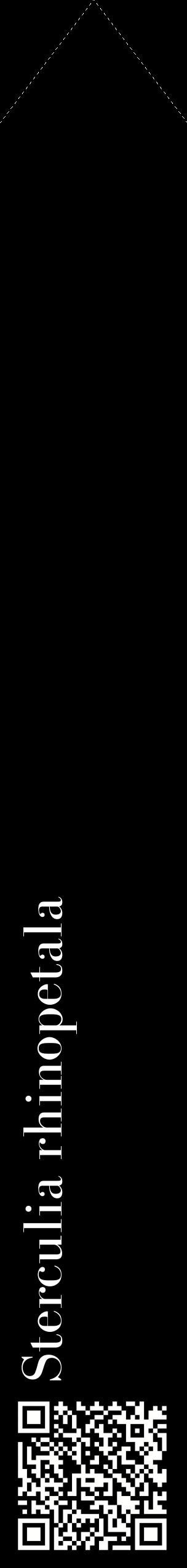 Étiquette de : Sterculia rhinopetala - format c - style blanche59_simplebod avec qrcode et comestibilité