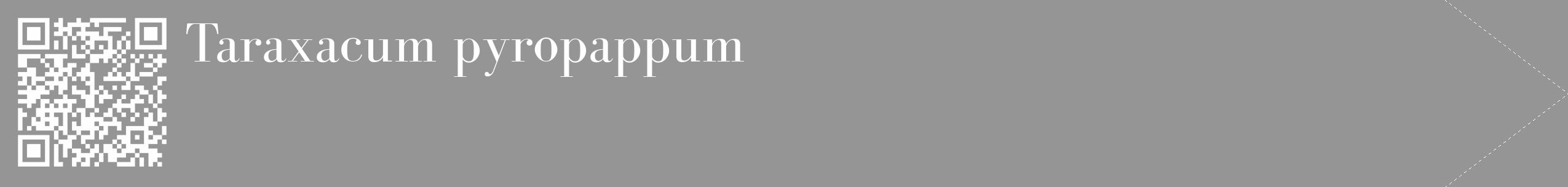 Étiquette de : Taraxacum pyropappum - format c - style blanche16_simple_simplebod avec qrcode et comestibilité