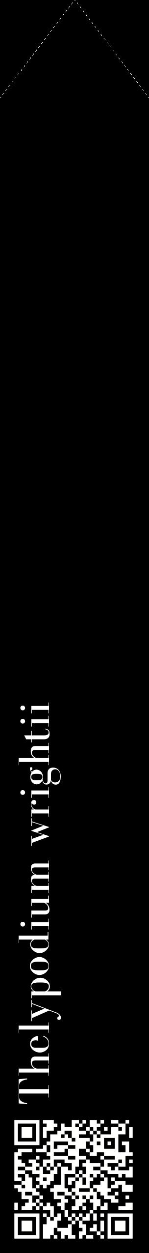 Étiquette de : Thelypodium wrightii - format c - style blanche59_simplebod avec qrcode et comestibilité