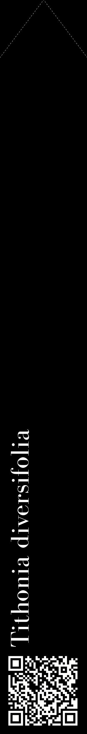 Étiquette de : Tithonia diversifolia - format c - style blanche59_simplebod avec qrcode et comestibilité