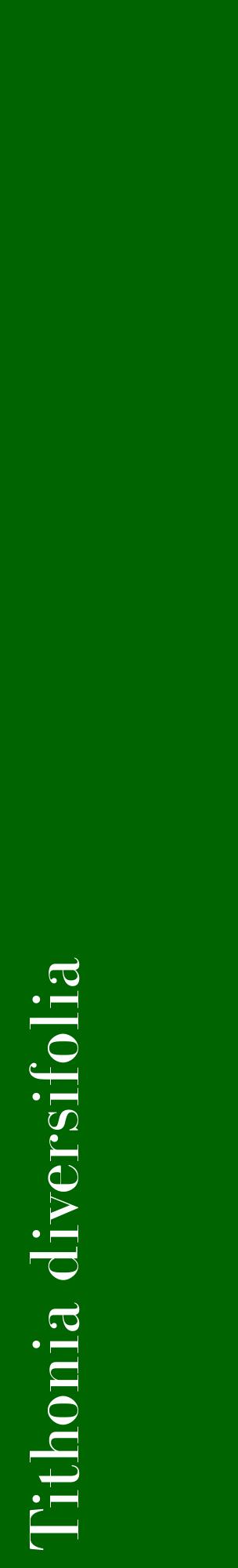 Étiquette de : Tithonia diversifolia - format c - style blanche8_basiquebod avec comestibilité
