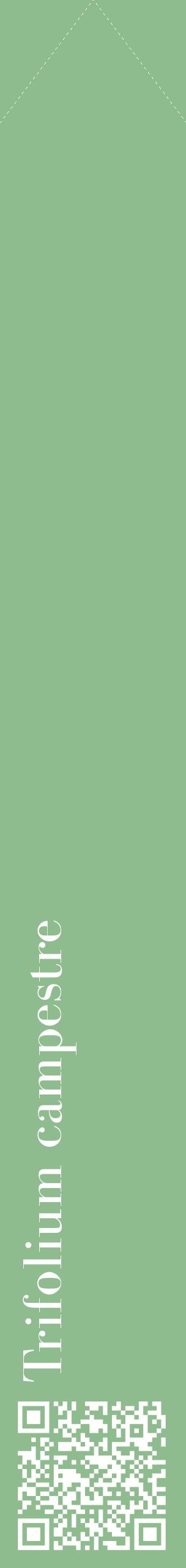 Étiquette de : Trifolium campestre - format c - style blanche13_simplebod avec qrcode et comestibilité