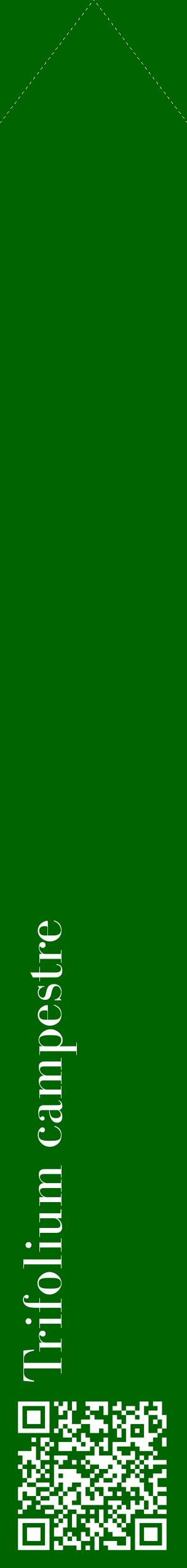 Étiquette de : Trifolium campestre - format c - style blanche8_simplebod avec qrcode et comestibilité