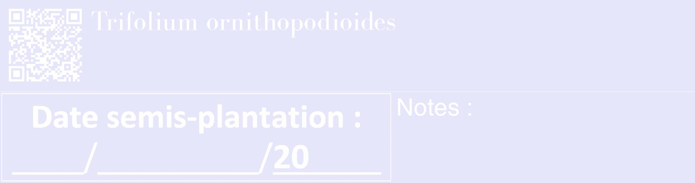 Étiquette de : Trifolium ornithopodioides - format c - style blanche55_basique_basiquebod avec qrcode et comestibilité