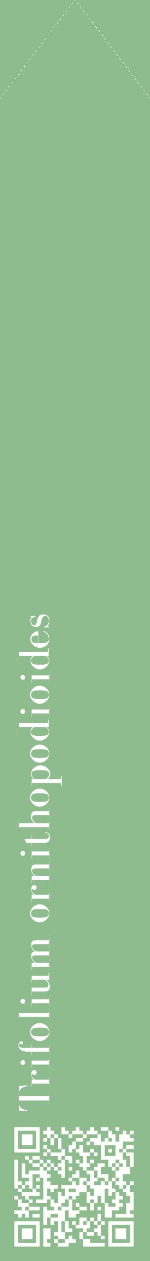 Étiquette de : Trifolium ornithopodioides - format c - style blanche13_simplebod avec qrcode et comestibilité