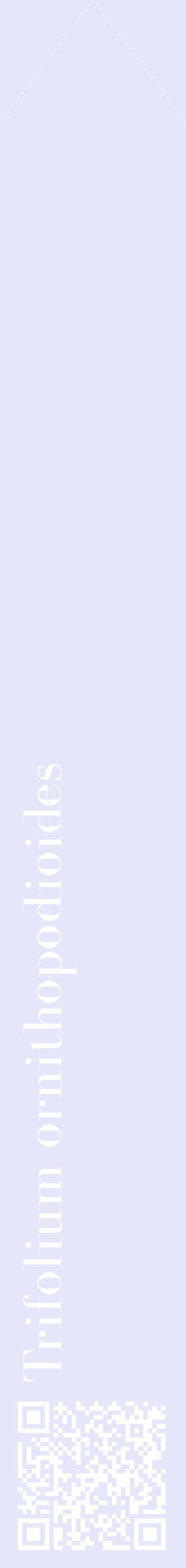 Étiquette de : Trifolium ornithopodioides - format c - style blanche55_simplebod avec qrcode et comestibilité