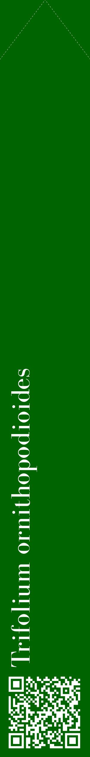 Étiquette de : Trifolium ornithopodioides - format c - style blanche8_simplebod avec qrcode et comestibilité