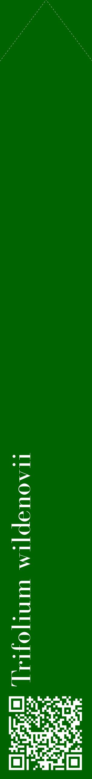 Étiquette de : Trifolium wildenovii - format c - style blanche8_simplebod avec qrcode et comestibilité