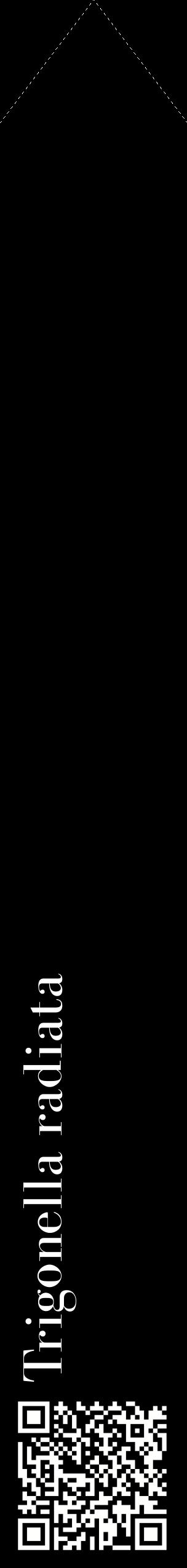 Étiquette de : Trigonella radiata - format c - style blanche59_simplebod avec qrcode et comestibilité