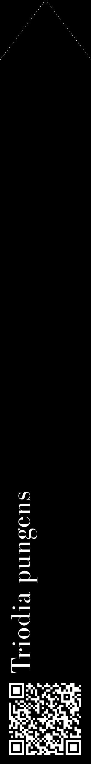 Étiquette de : Triodia pungens - format c - style blanche59_simplebod avec qrcode et comestibilité