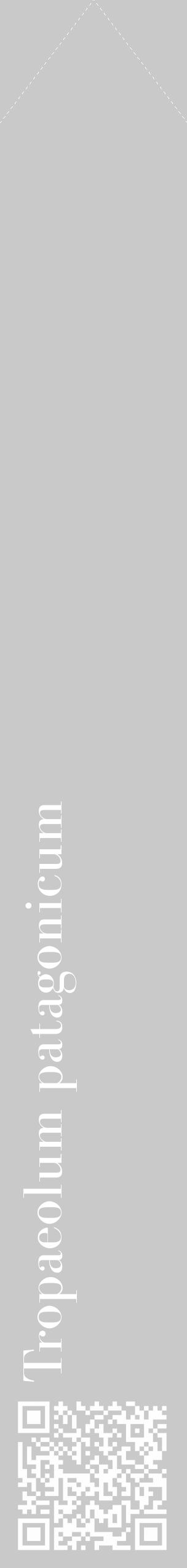 Étiquette de : Tropaeolum patagonicum - format c - style blanche54_simple_simplebod avec qrcode et comestibilité - position verticale