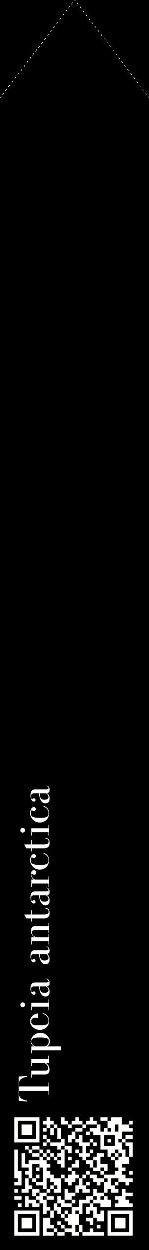 Étiquette de : Tupeia antarctica - format c - style blanche59_simplebod avec qrcode et comestibilité
