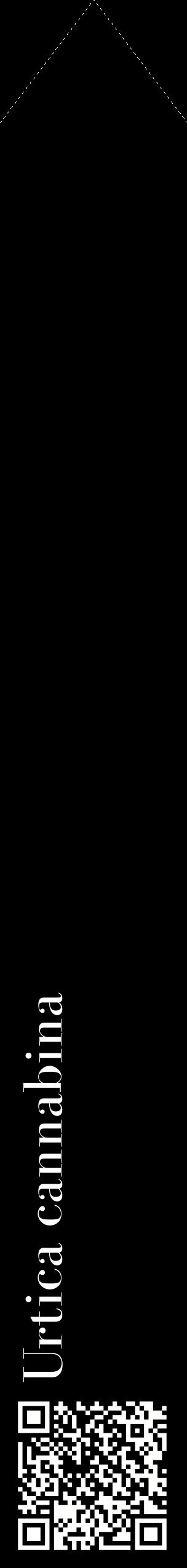 Étiquette de : Urtica cannabina - format c - style blanche59_simplebod avec qrcode et comestibilité