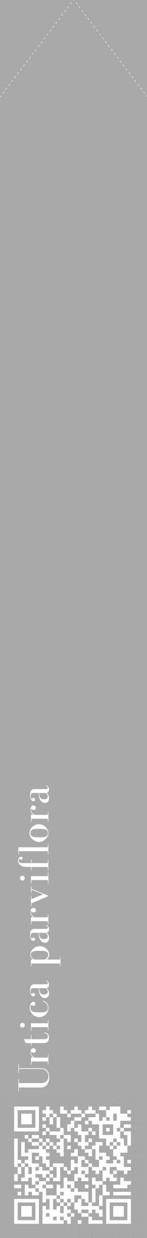 Étiquette de : Urtica parviflora - format c - style blanche13_simple_simplebod avec qrcode et comestibilité - position verticale