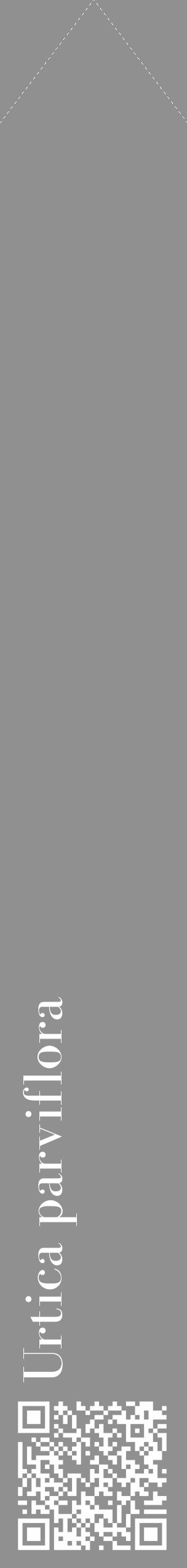 Étiquette de : Urtica parviflora - format c - style blanche4_simple_simplebod avec qrcode et comestibilité - position verticale