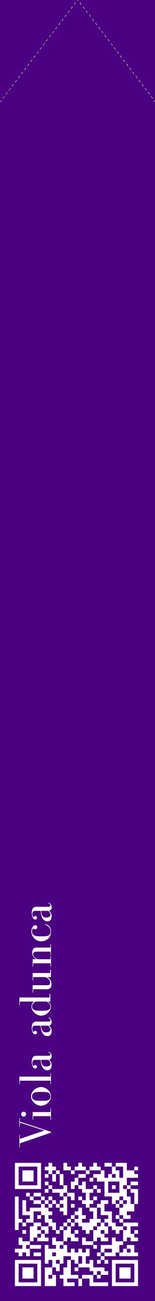 Étiquette de : Viola adunca - format c - style blanche47_simplebod avec qrcode et comestibilité
