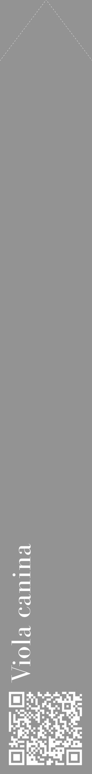 Étiquette de : Viola canina - format c - style blanche44_simple_simplebod avec qrcode et comestibilité - position verticale