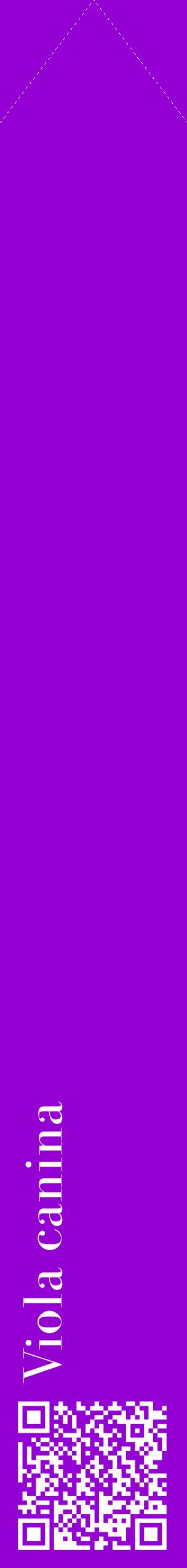 Étiquette de : Viola canina - format c - style blanche48_simplebod avec qrcode et comestibilité