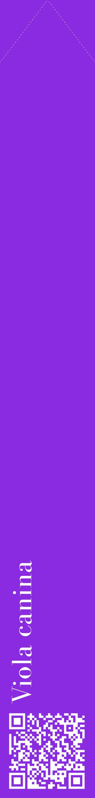 Étiquette de : Viola canina - format c - style blanche49_simplebod avec qrcode et comestibilité
