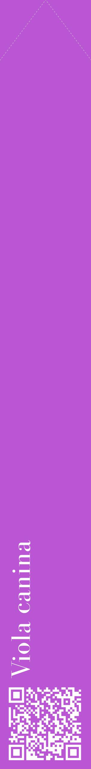 Étiquette de : Viola canina - format c - style blanche50_simplebod avec qrcode et comestibilité