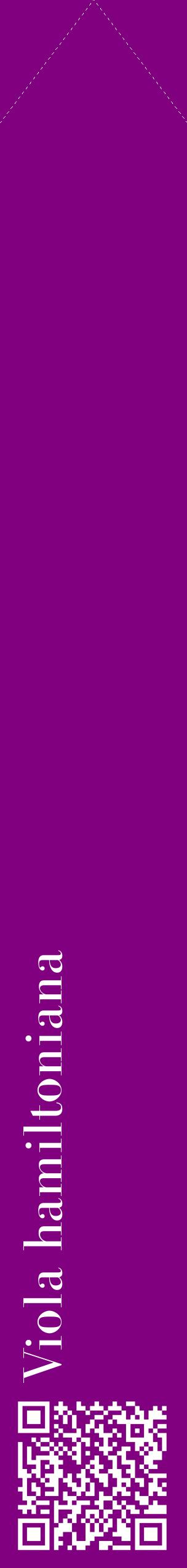 Étiquette de : Viola hamiltoniana - format c - style blanche46_simplebod avec qrcode et comestibilité