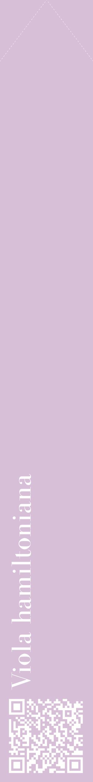 Étiquette de : Viola hamiltoniana - format c - style blanche54_simplebod avec qrcode et comestibilité