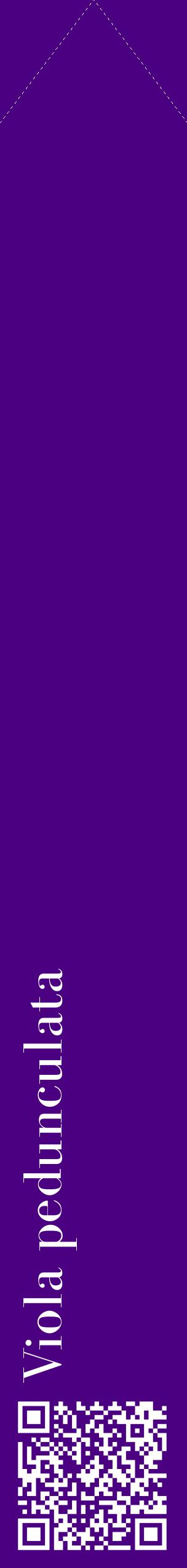 Étiquette de : Viola pedunculata - format c - style blanche47_simplebod avec qrcode et comestibilité